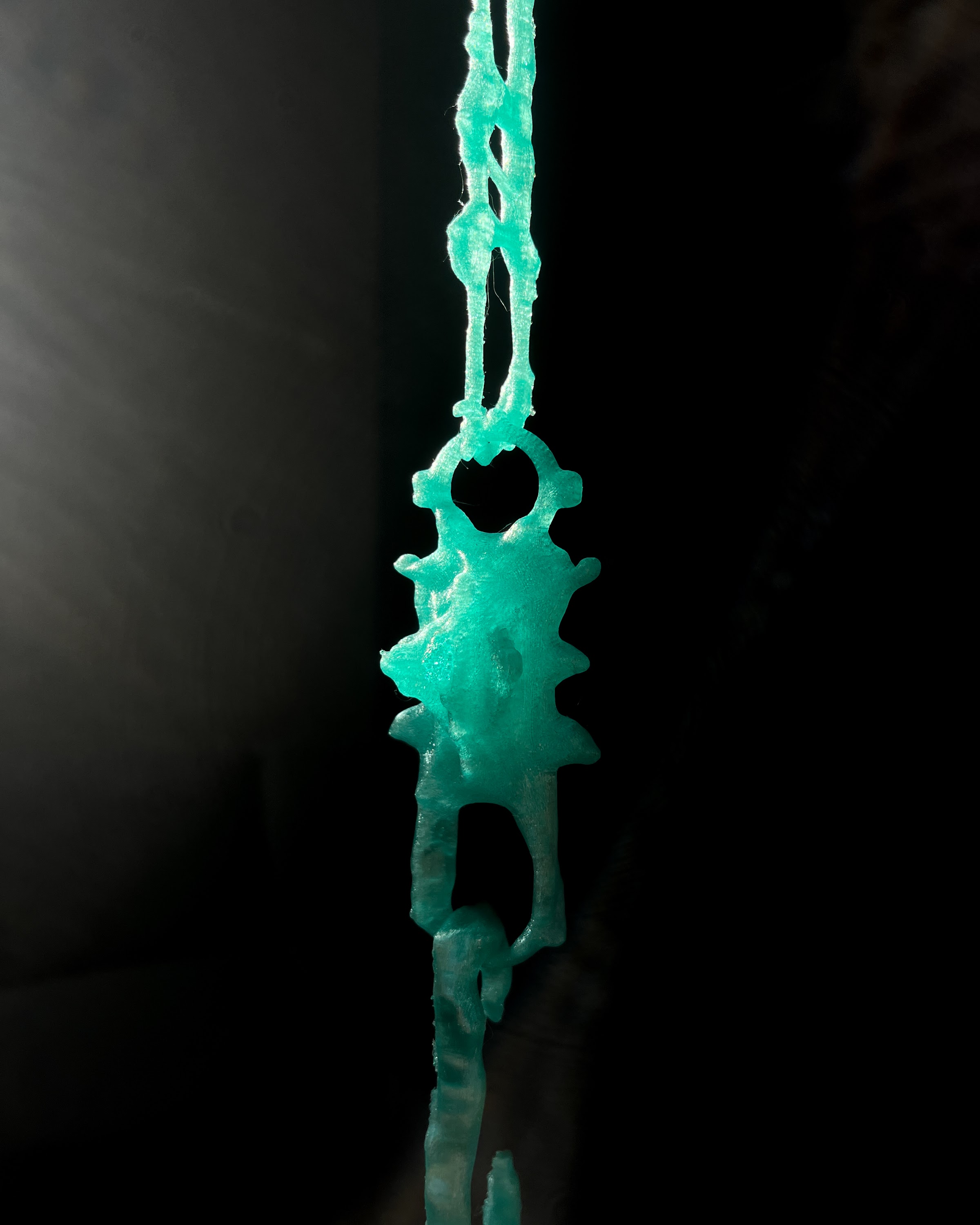 Light Seeking Organism V1, view 6