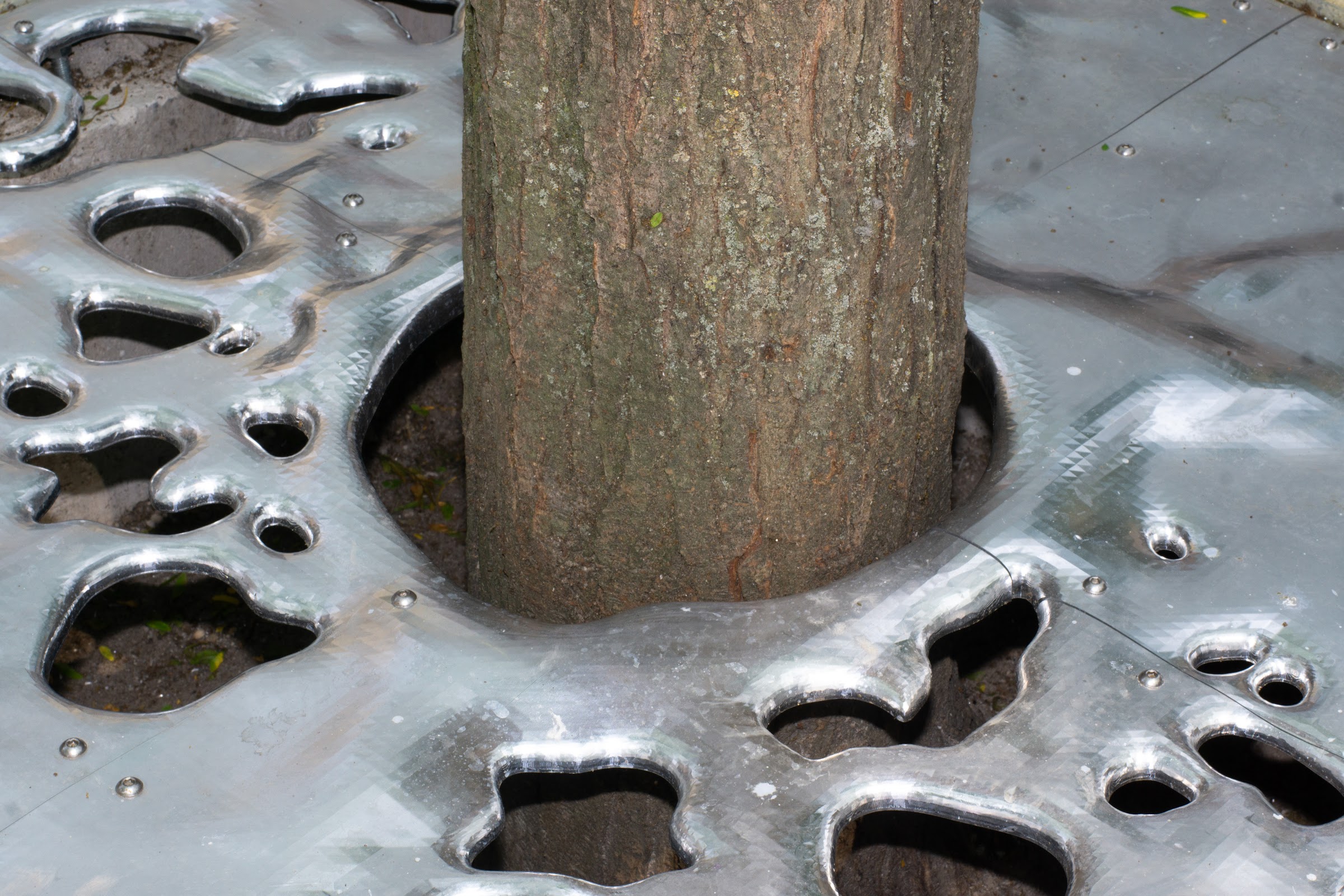 Lowpolyroots, view 7