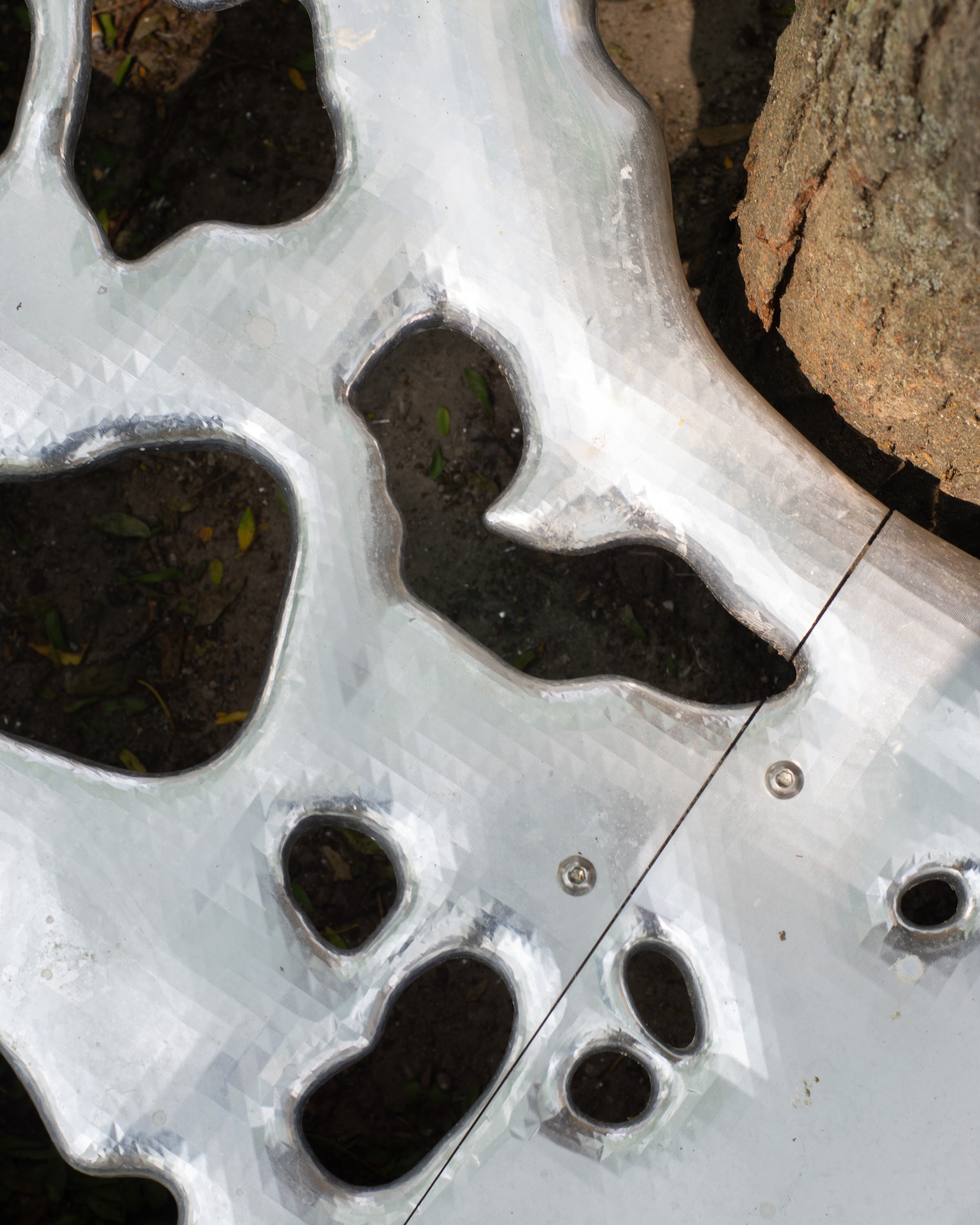 Lowpolyroots, view 5
