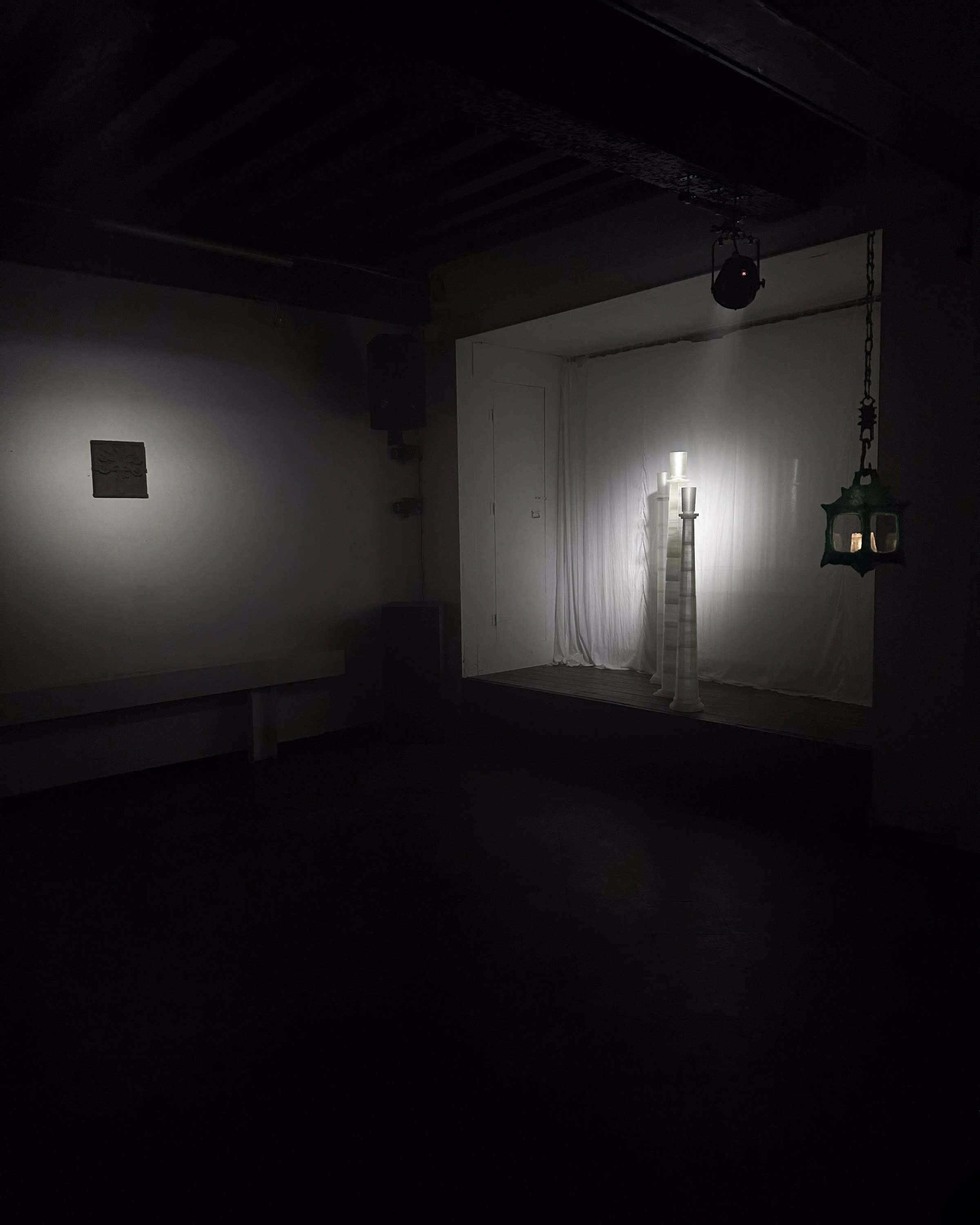 Light Seeking Organism V1, view 4